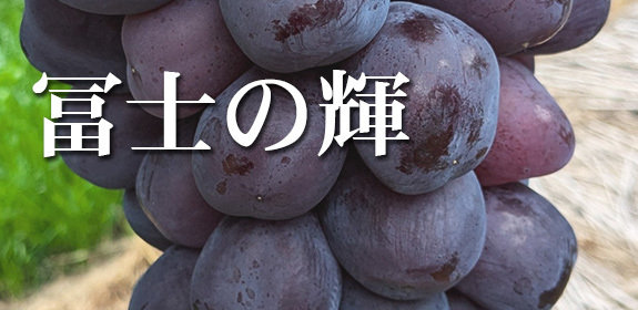 天山